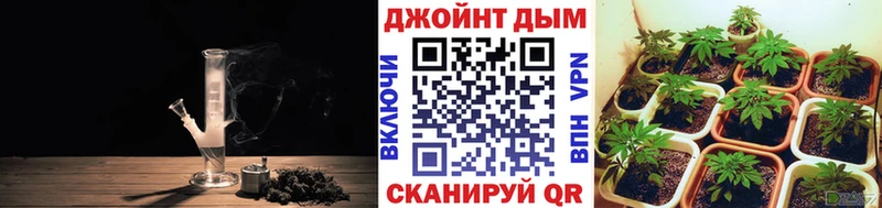 Купить наркоту Истра Конопля  МЕФ  kraken ССЫЛКА  Псилоцибиновые грибы  Гашиш  А ПВП 